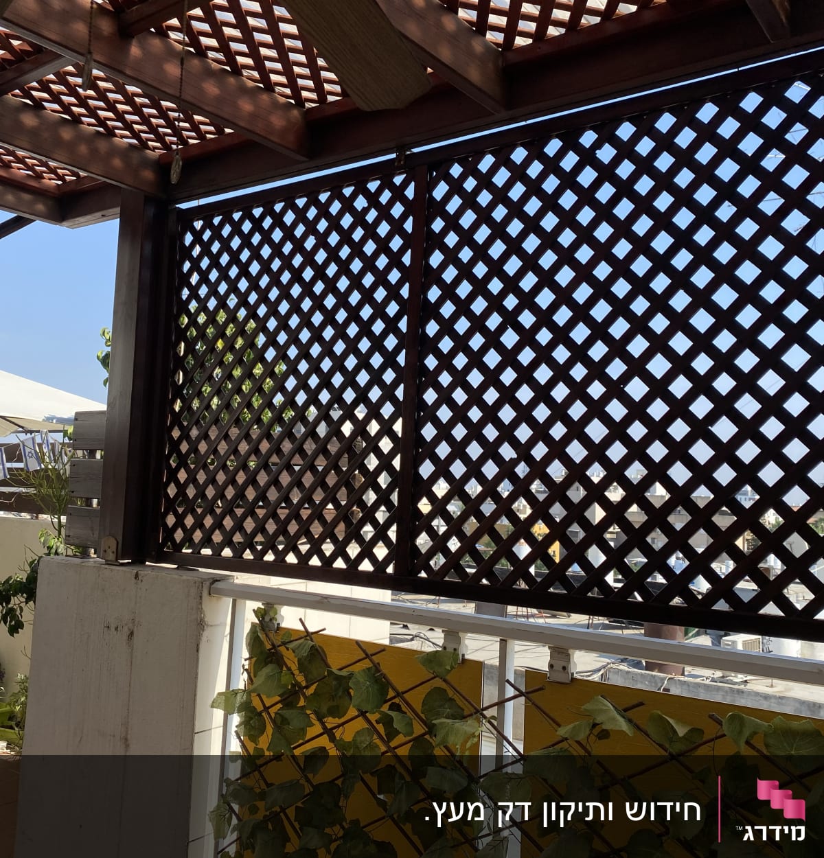 פרגולה מעץ עם סבכת עץ וצמחים מטפסים